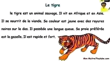 وضعية إدماجية عن نمر بالفرنسية للسنة الخامسة ابتدائي تعبير كتابي عن وصف نمر