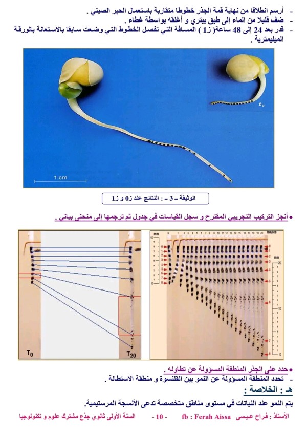 ملخص درس مناطق النمو عند النبات. TP ✅ درس مناطق النمو عند النبات. المادة: العلوم الطبيعية أولى ثانوي جذع مشترك علوم وتكنولوجيا. #التعليم_الثانوي