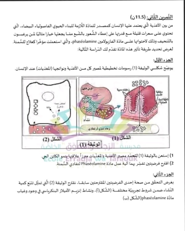 اختبار الفصل الأول في العلوم طبيعية للسنة اولى ثانوي مع الحل  اختبار الثلاثي الأول في العلوم طبيعية والحياة