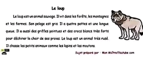 وضعية إدماجية عن الذئب بالفرنسية للسنة الخامسة ابتدائي تعبير كتابي عن وصف ذئب